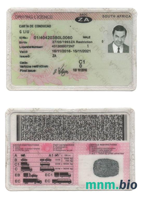 Szablon prawa jazdy w RPA w formacie PSD, ze wszystkimi czcionkami